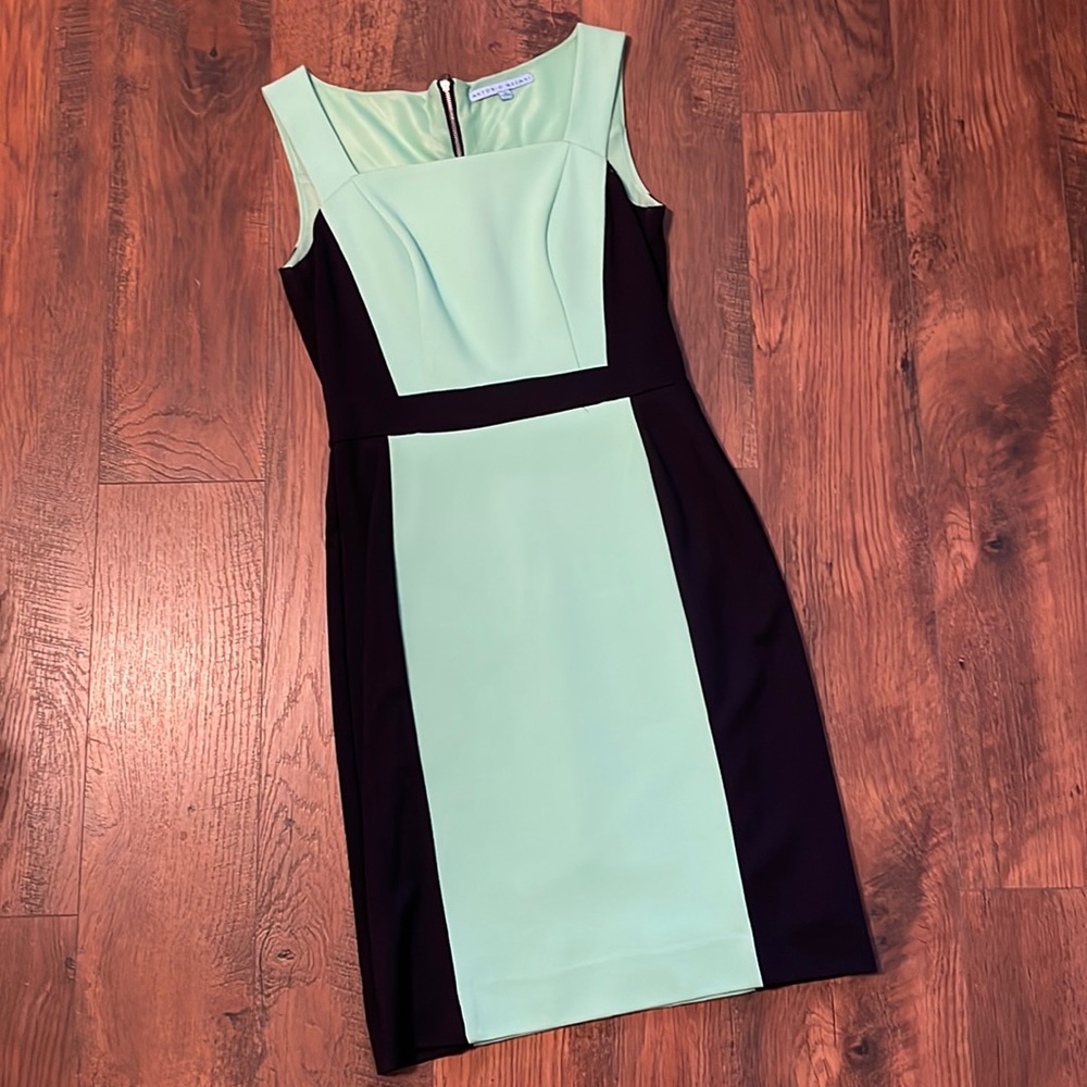 Antonio Melani Mint Navy dress